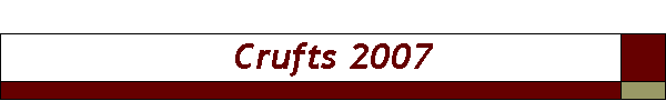 Crufts 2007